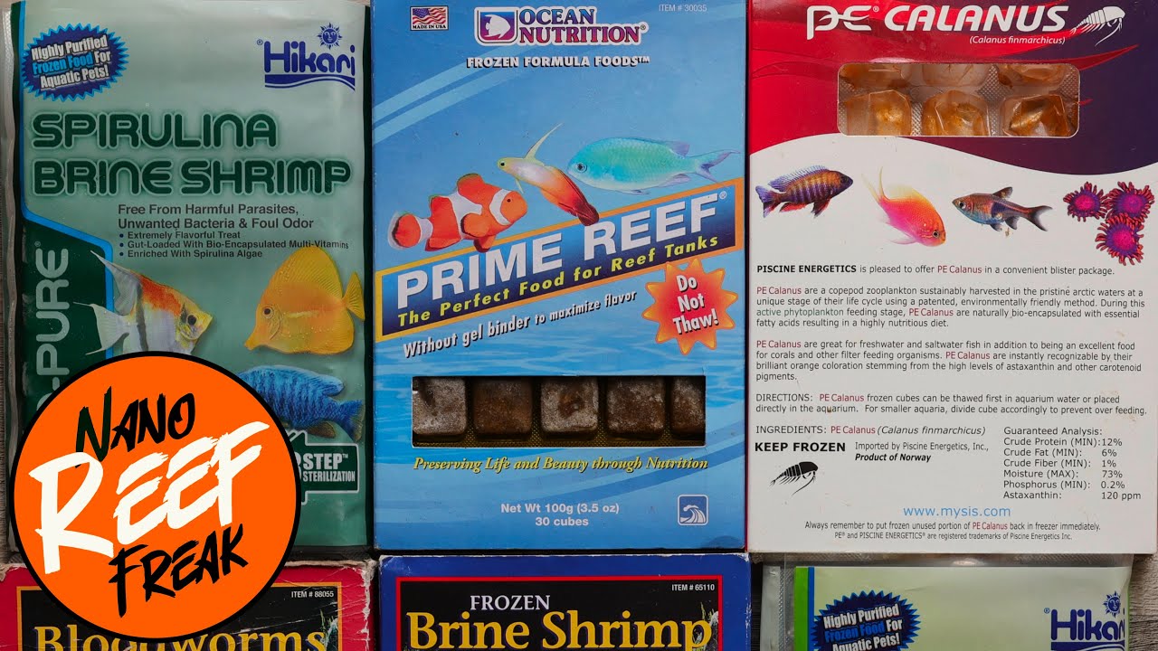 What is the best fish food for your reef tank?