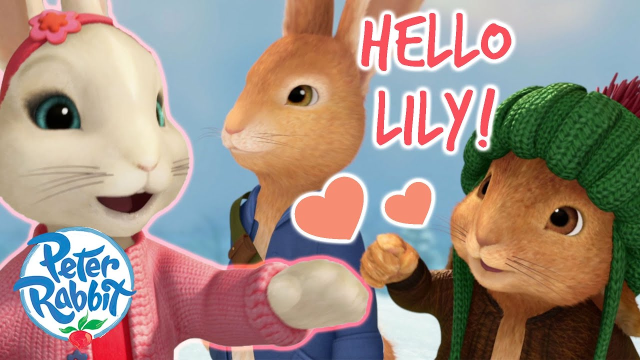​@OfficialPeterRabbit- When Peter & Benjamin First Met Lily 💛 | New Friendships | Cartoons for Kids