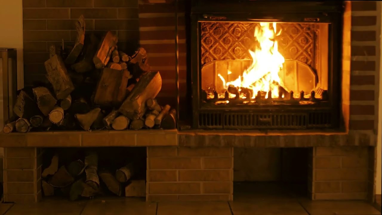 Chimenea. Relajación.🔥Fuego. 8 horas seguidas.  [Daytime Forest Bonfire]