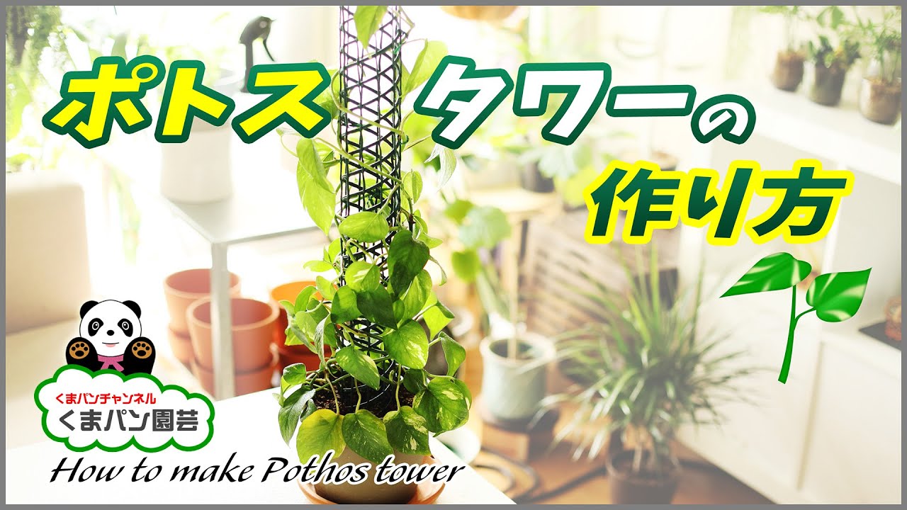 ポトスタワーの作り方【くまパン園芸】