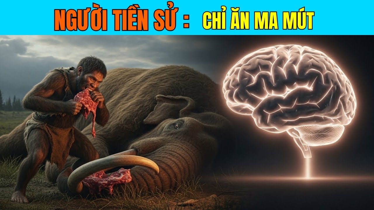 HOMO ERECTUS: Kẻ Ăn Thịt Ma Mút Đứng Đầu Địa Cầu (Bí Mật Tiến Hóa Não Bộ) │Open Lab