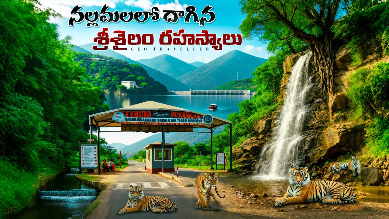 Srisailam: The Hidden Secrets of India’s Sacred Forest Temple, నల్లమల అడవిలో రహస్యాలు #geotraveller 