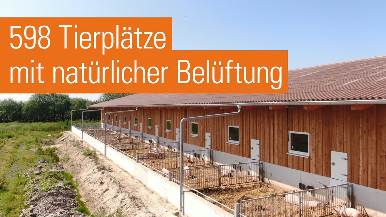 Maststall mit Auslauf für Schweine in Biohaltung | Im Emsland