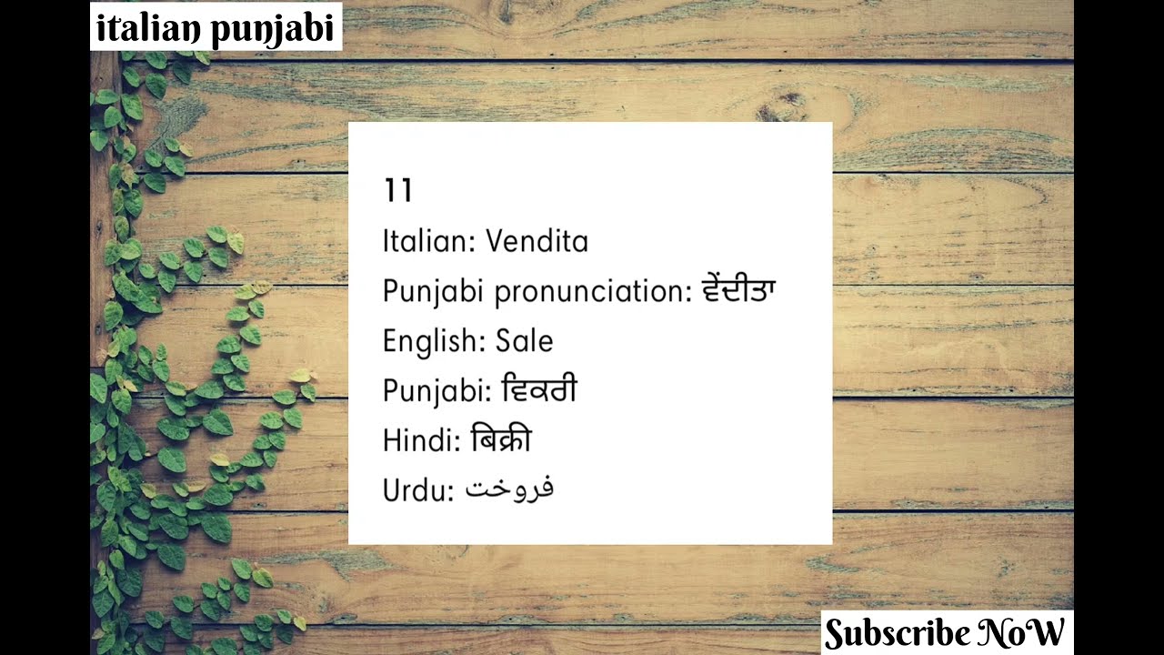 ITALY🇮🇹 ਜ਼ਰੂਰੀ ਸ਼ਬਦ ਅੱਜ ਸਿੱਖੋ💢#languagelearning #learnitalian #italianpunjabi600 #study #learning