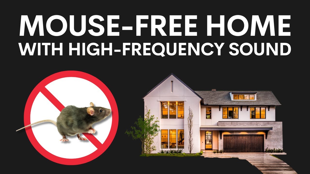 Mouse Repellent｜Protect your Home with High-Frequency Sound | 9 Hours