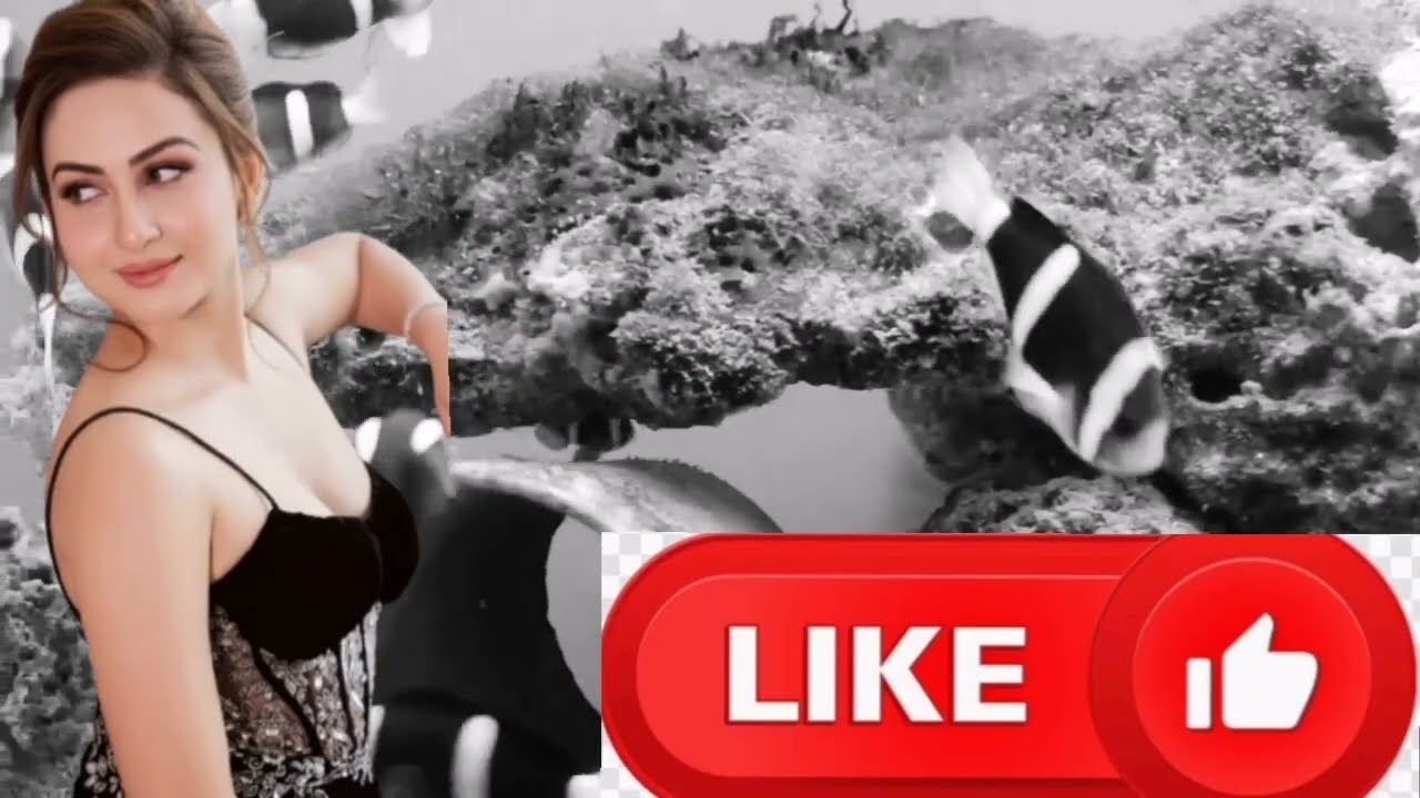 هاد القصة وقعات ليا أنا وولد أختي ملي خلاّتنا أختي وسافرات، وبقينا غير أنا وهو فالدار.