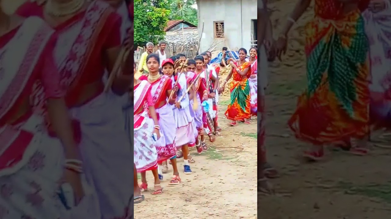 say rela re rela ❤️ baster gondi dance ❤️ malkangiri 🙏cg halbi song ❤️💯 #ashokprimetv #gondi_dance