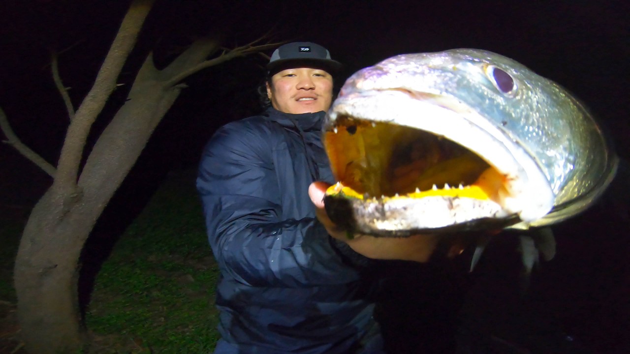 Live Bait Fishing for GIANT Mulloway at Melbourne’s Most Popular River!
