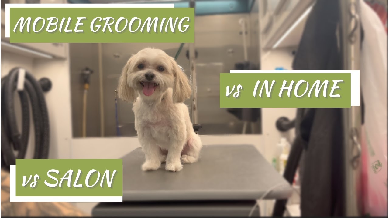 Mobile Grooming vs Storefront vs In-Home — Which is Best for Groomers? 🚐✂️🏠