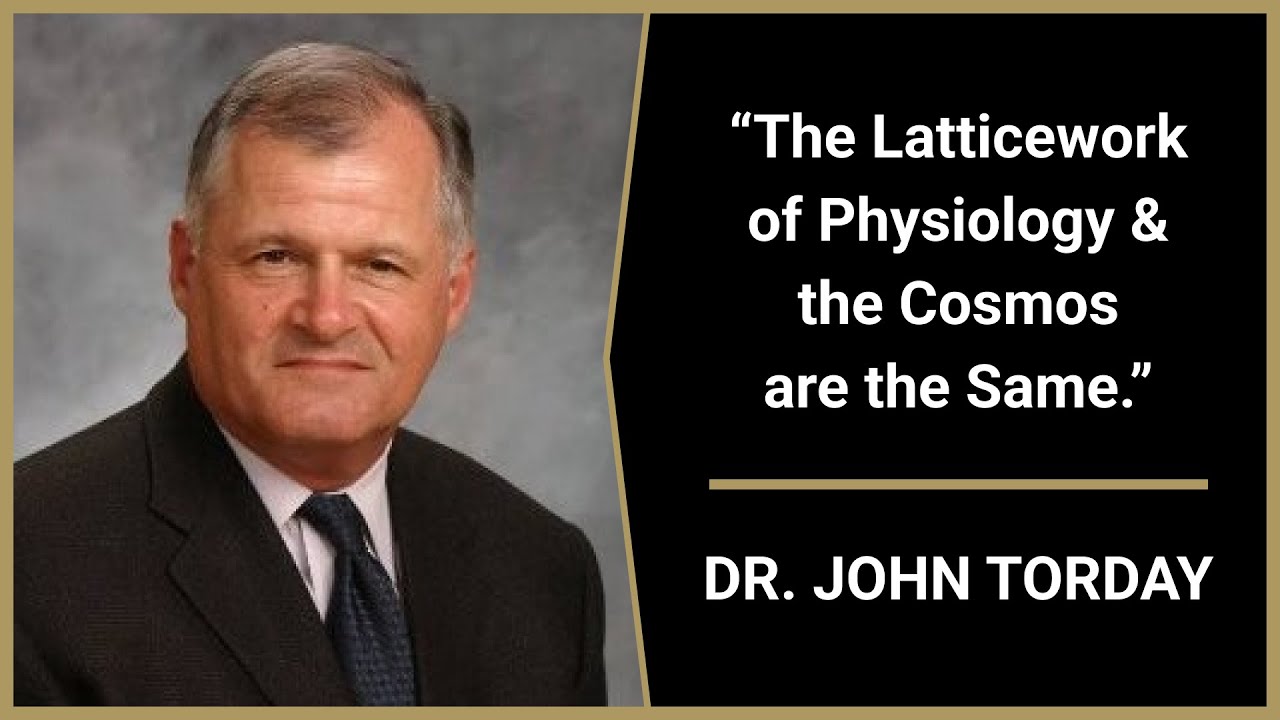 Simulation #802 Dr. John Torday &mdash; Cosmic Physiology