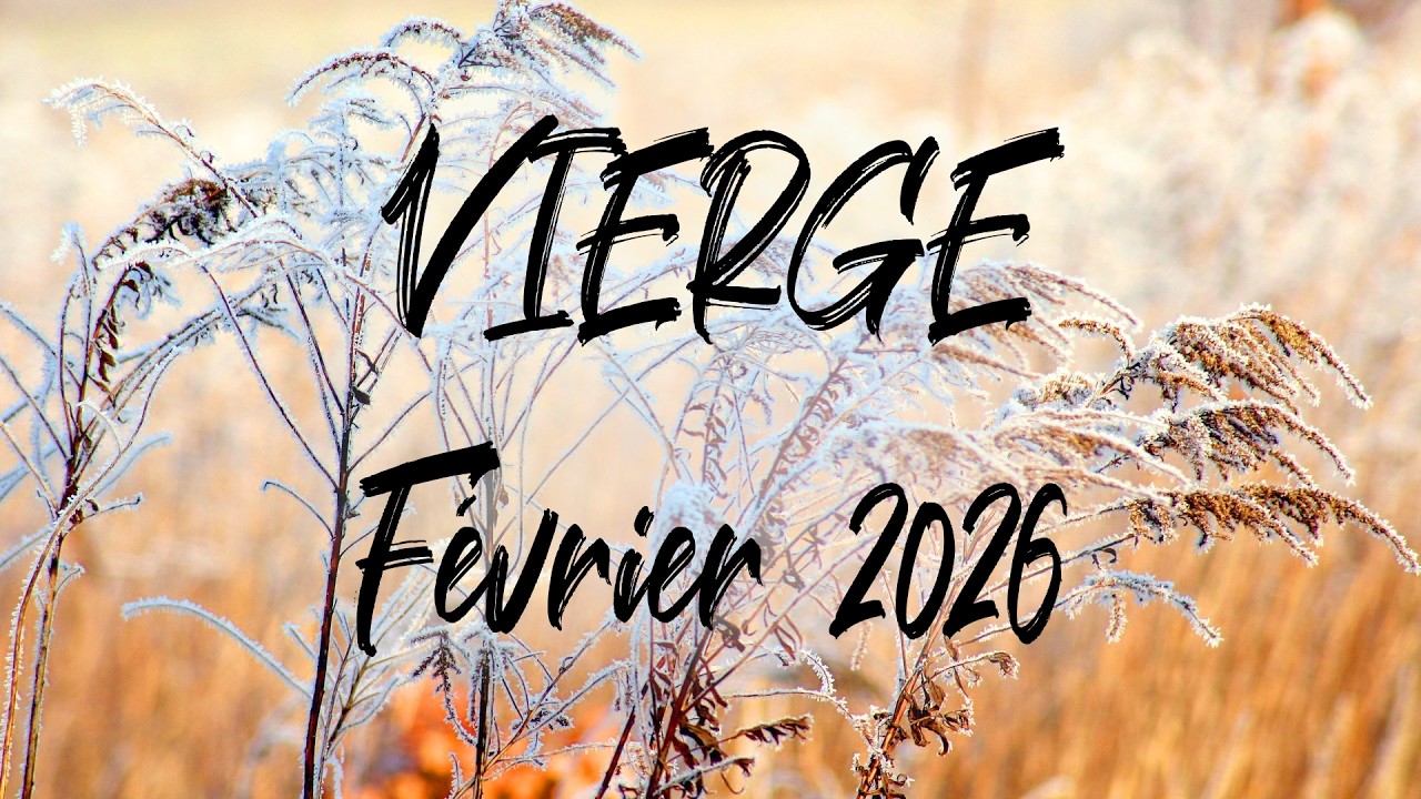 ♍ VIERGE ♍ - FÉVRIER 2026