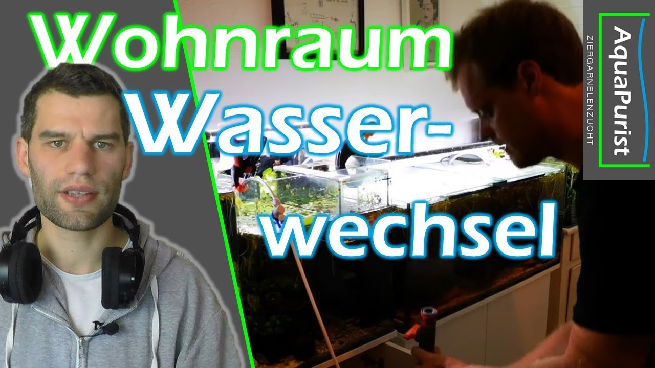 Martins Fische: Manueller aber vereinfachter Wasserwechsel im Wohnraum