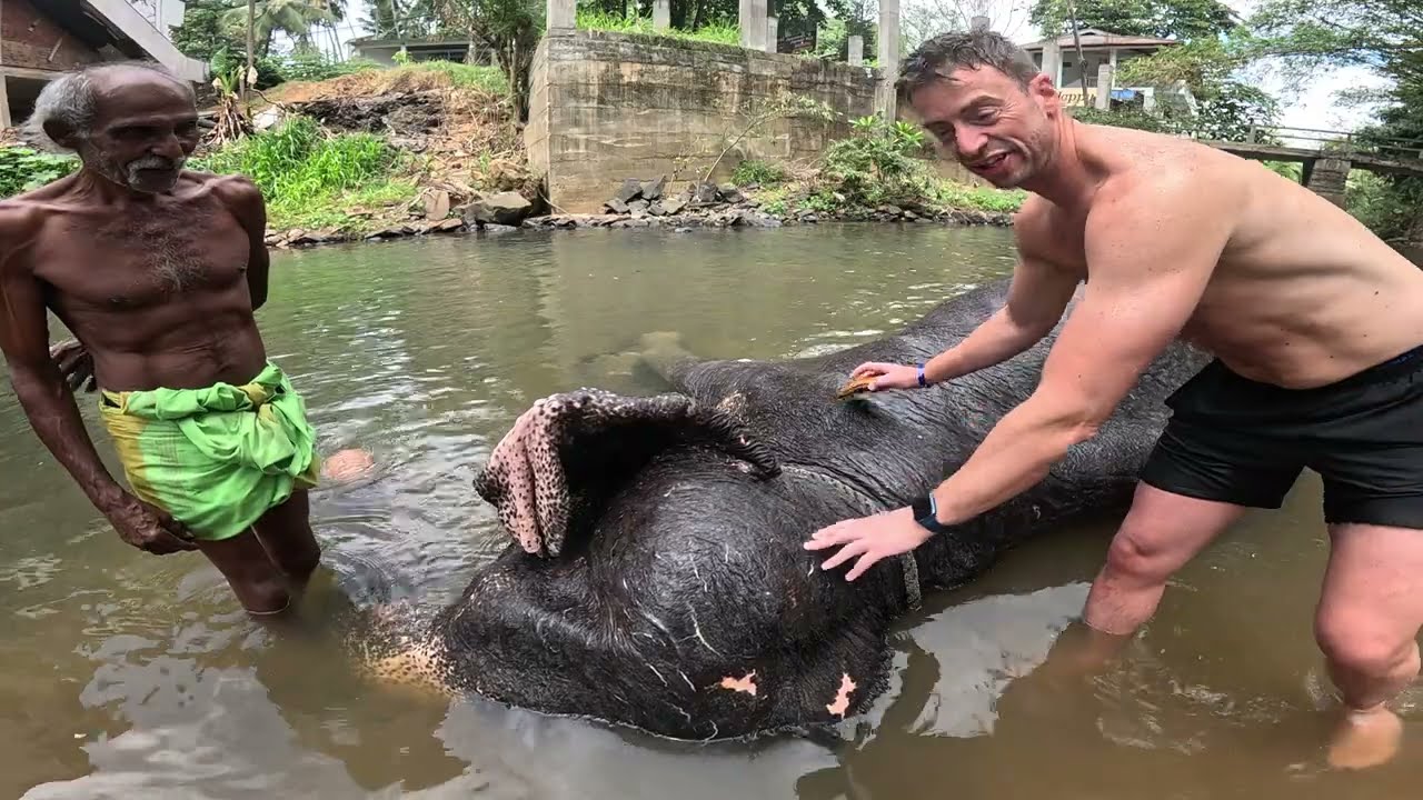 Happy Elephant, Sri Lanka