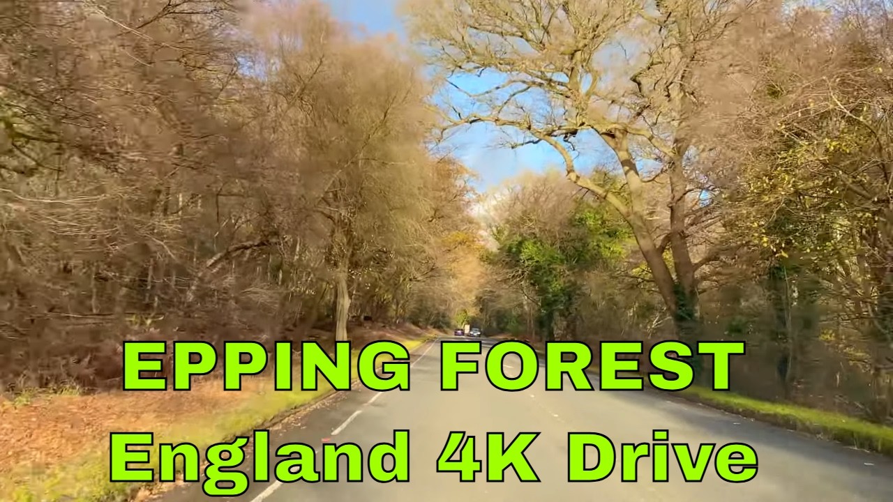 Epping Forest Road Drive | Nature, Town & 4K Views