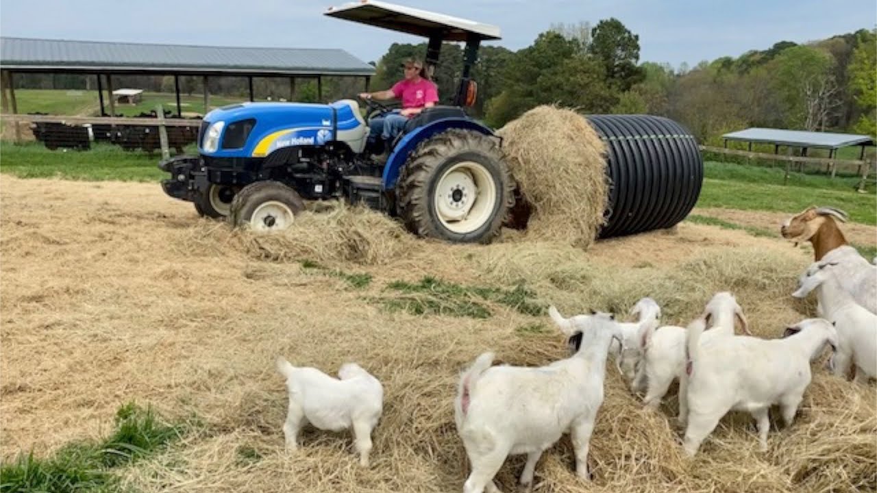 About NC State's Teaching Animal Unit