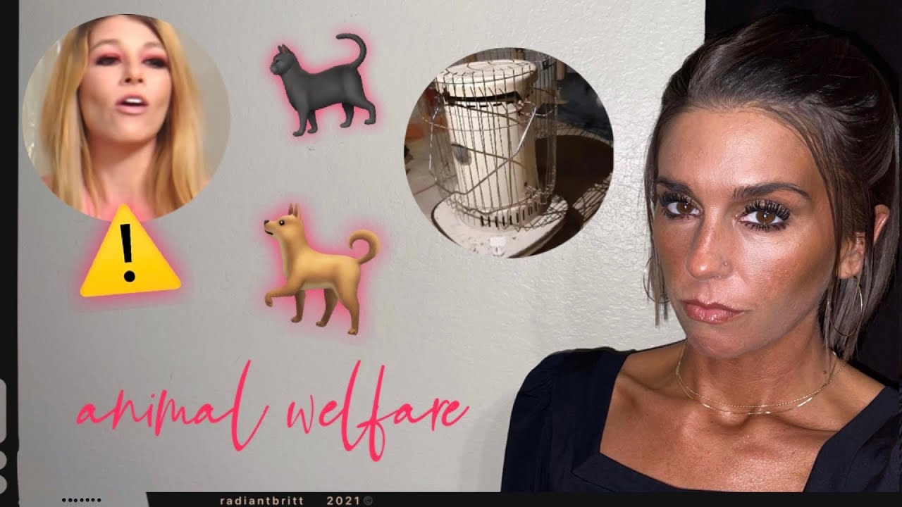 SELFTAUGHT BEAUTY + THE CARE OF HER PETS