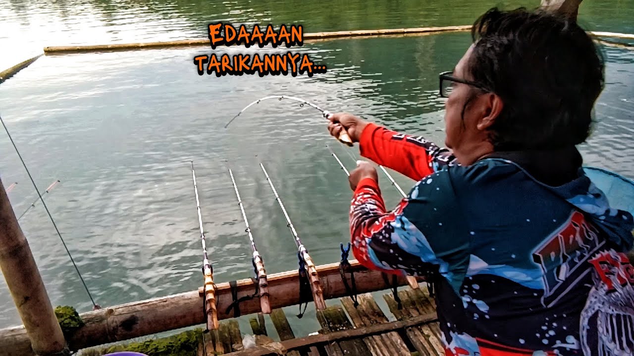 EDAN TARIKAN IKAN DI SINI BIKIN KEWALAHAN || TEMPEL KOYO BIAR GAK PEGEL❗ MANCING JATILUHUR TERBARU. 