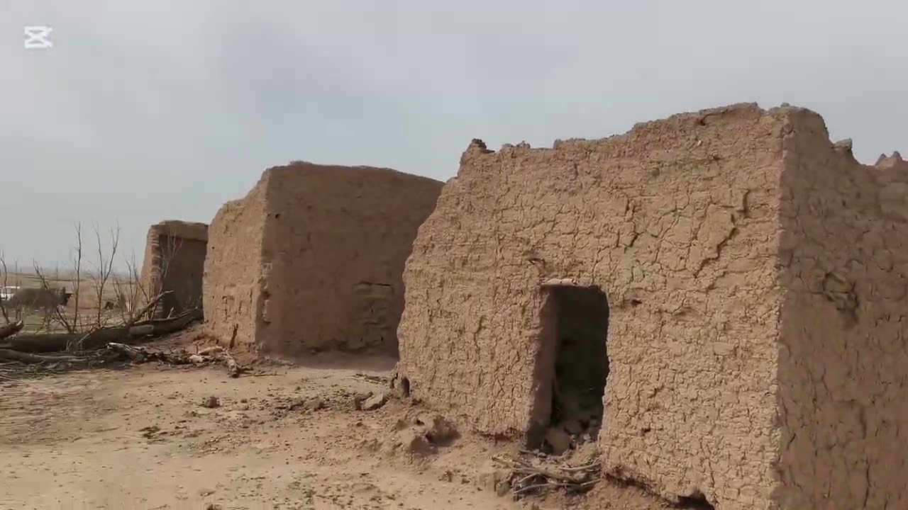 قرية القوشجية 