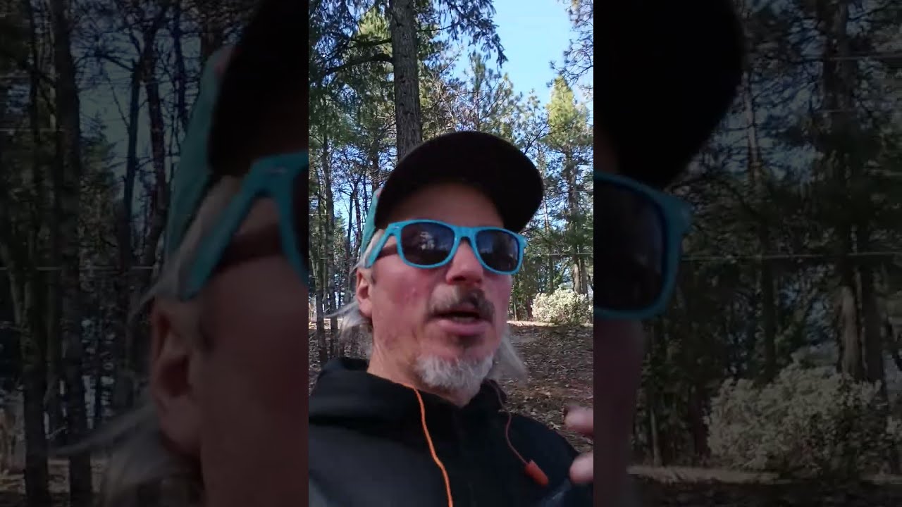 Frustrating day with a chainsaw 