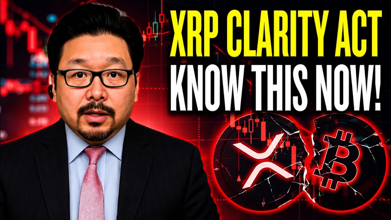 ЗАКОН О ЯСНОСТИ XRP 🚨 ВСЁ ТОЛЬКО ЧТО ИЗМЕНИЛОСЬ‼️
