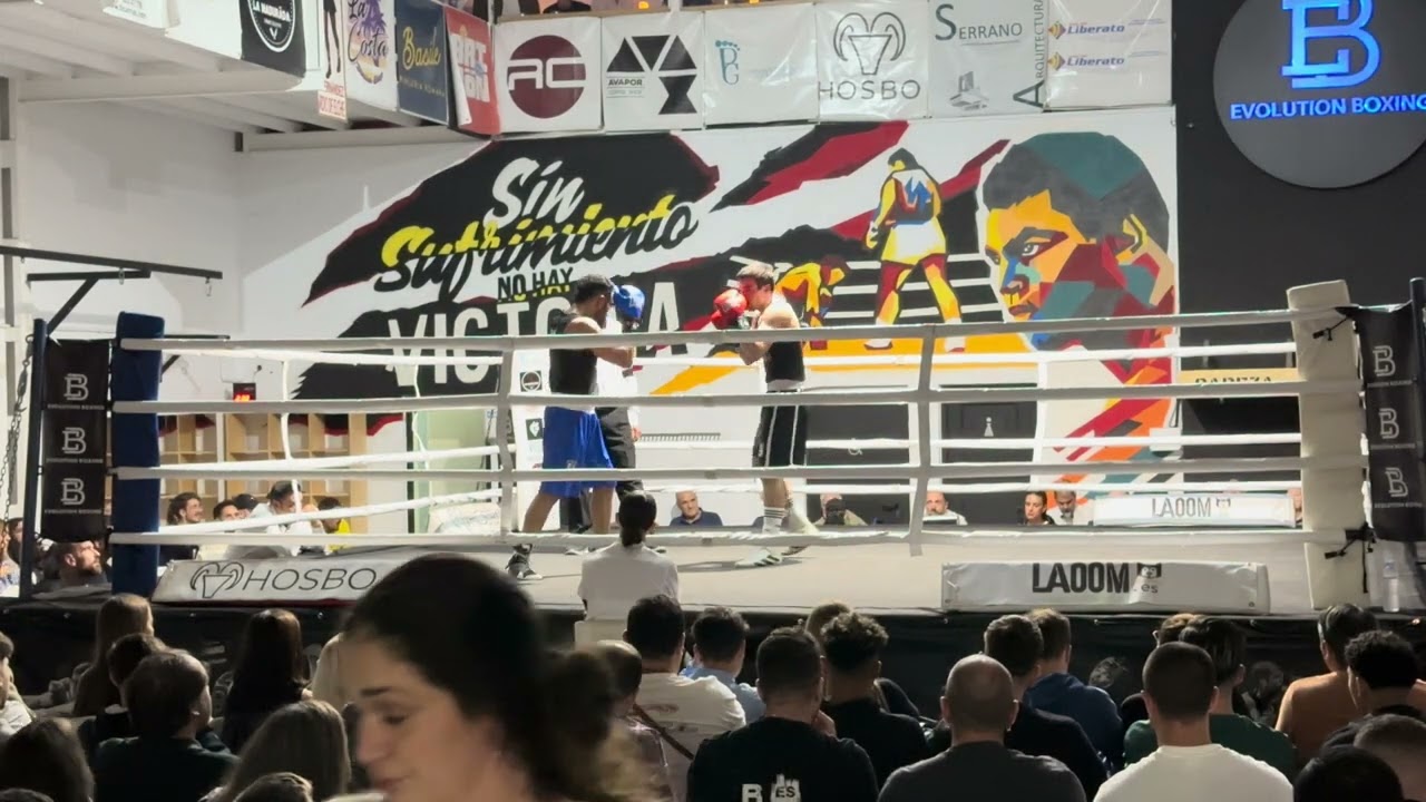 Giorgi gvazava vs Amine Chafik
