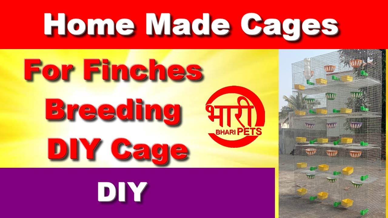 Home Made Cages for Finches Breeding || DIY Cage || Bhari Pets ||