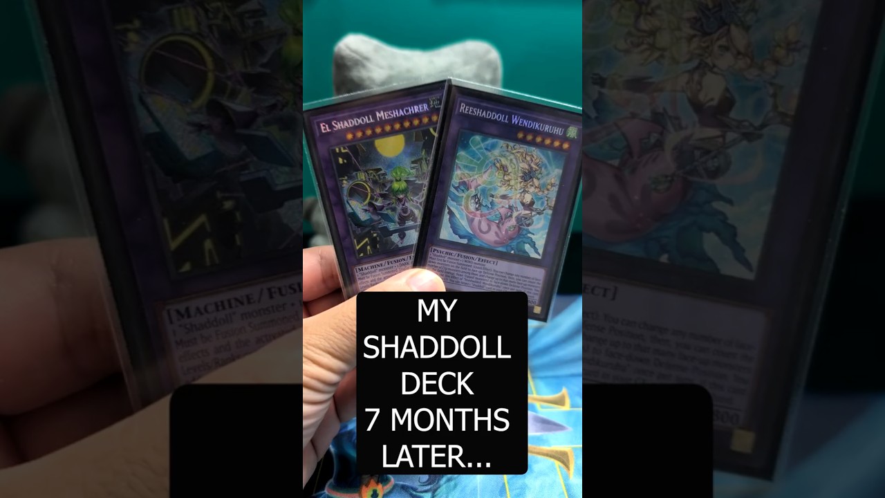 Моя колода Shaddoll спустя 7 месяцев возвращения в Yu-Gi-Oh!