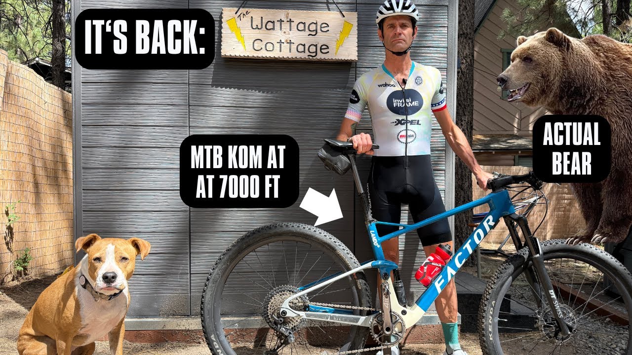 Big Bear (Literally!) – WORST RETIREMENT EVER and Cycling Guide