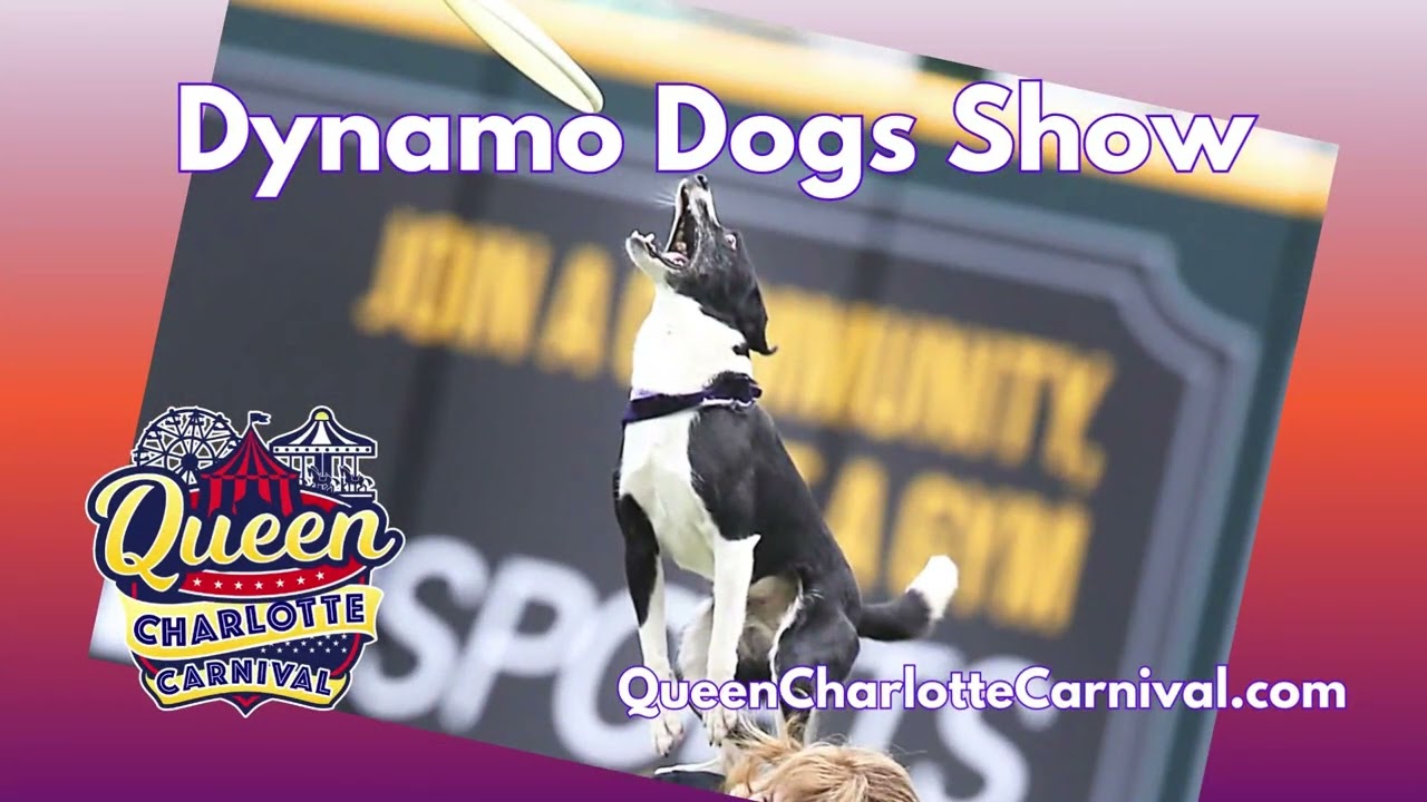 The Dynamo Dogs| Queen Charlotte Carnival