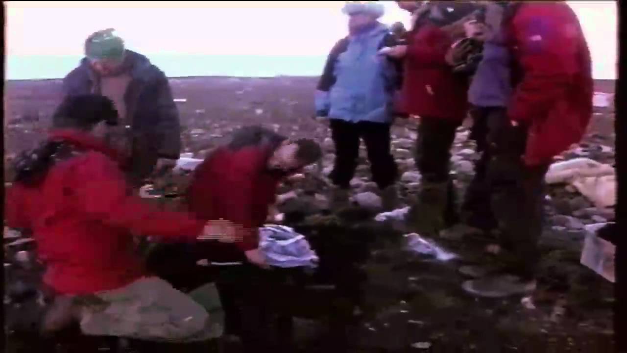 Nova Zembla, Expeditie 1995