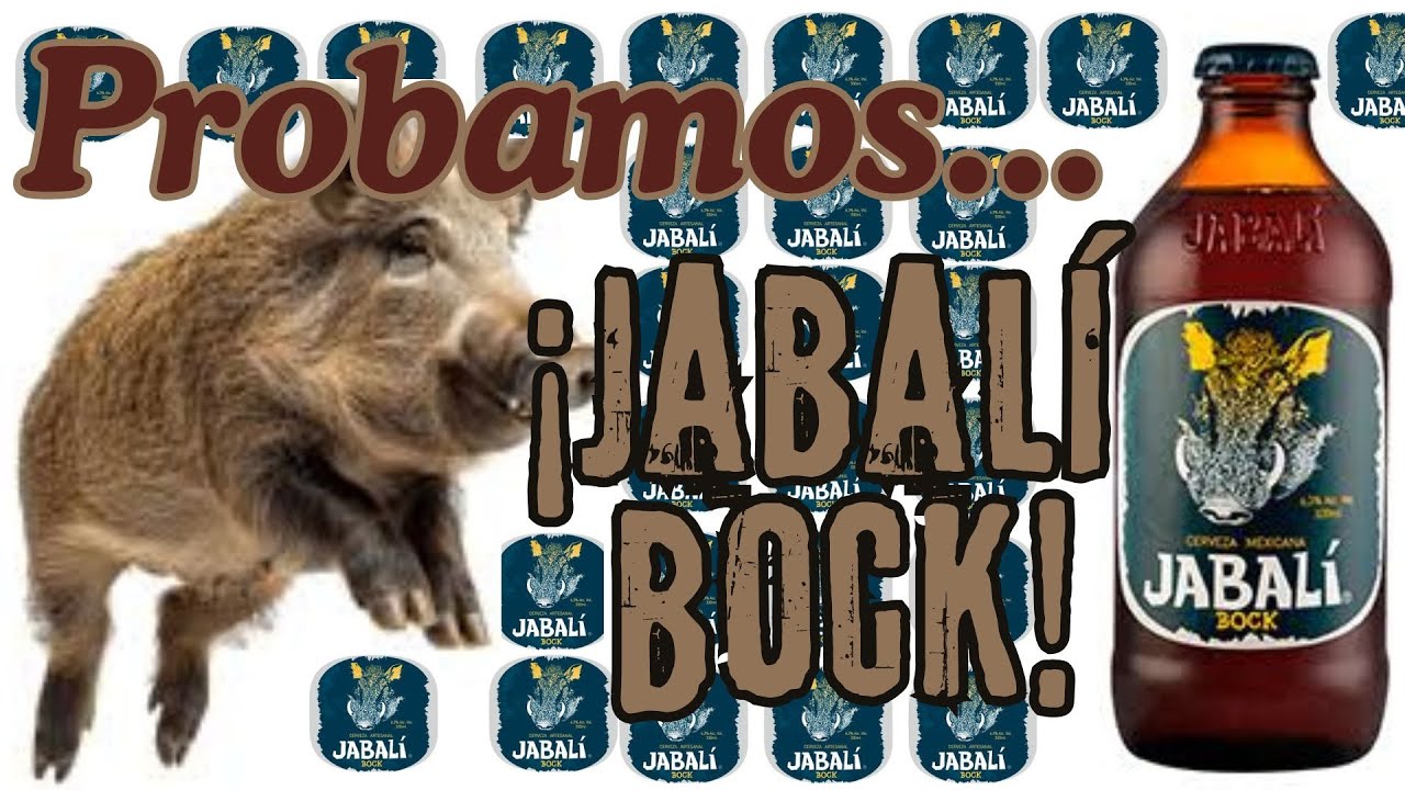 ABADÌA-KAN - JABALI BOCK