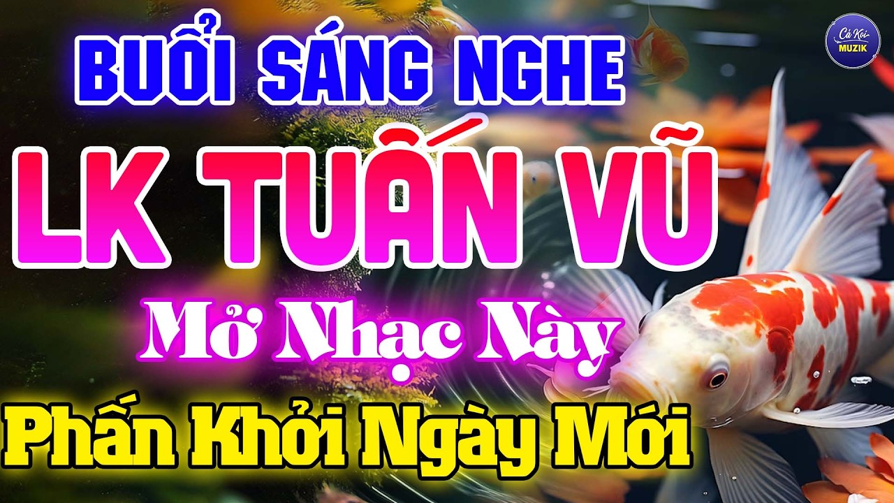 Nhạc Không Lời Bolero LK TUẤN VŨ Thư Giãn PHẤN KHỞI NGÀY MỚI - Hòa Tấu Nhạc Không Lời Hải Ngoại