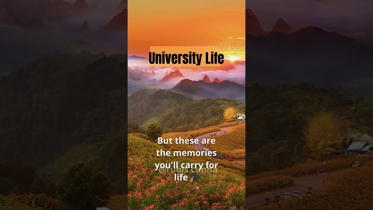 Vida universit&aacute;ria