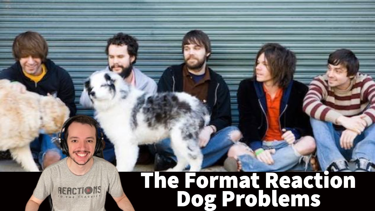 The Format Reaction - Dog Problems Song Reaction!