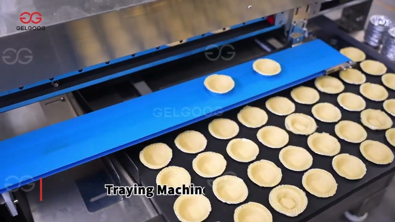 Automatic Egg Tart Machine | Pie Press Machine Price
