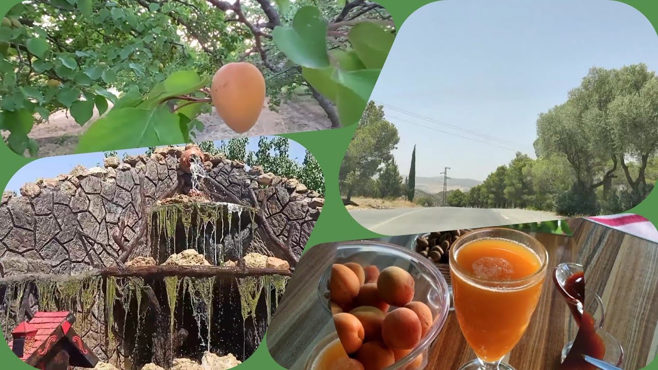 جولة في منطقة الشاوية استمتعوا معنا بهذه المناظر الطبيعية الخلابة.  باتنه