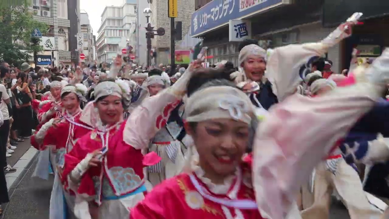 ほにや　よさこい　第71回　高知よさこい祭り　二日目　柳町