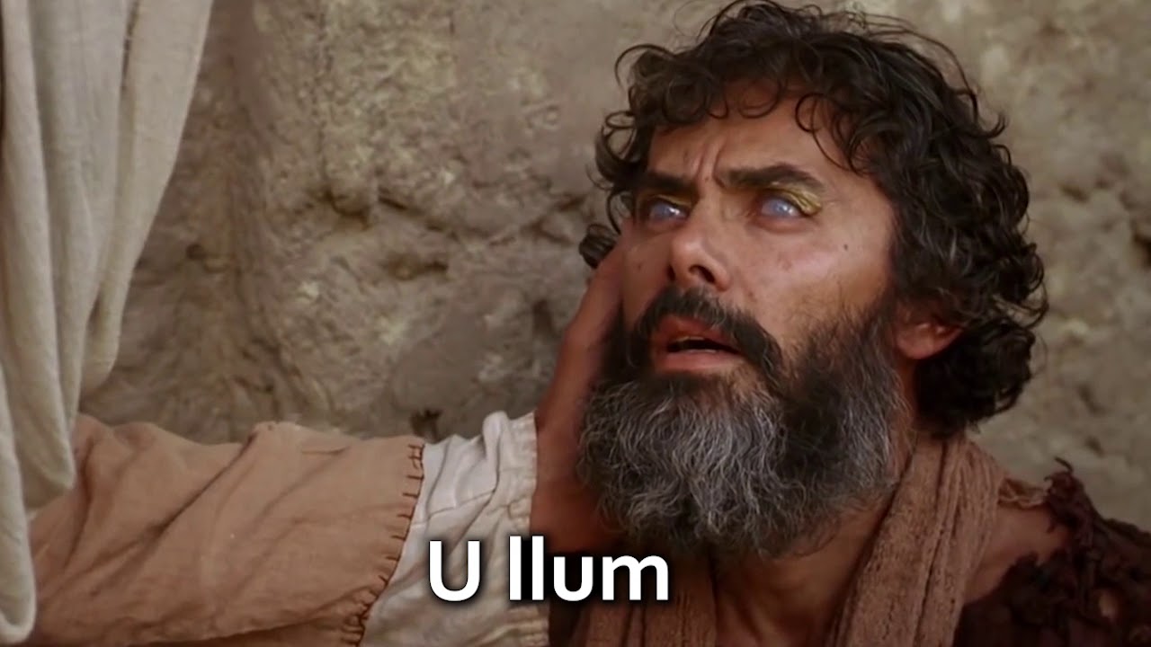 Rodd Ħajr - Andrew Cauchi