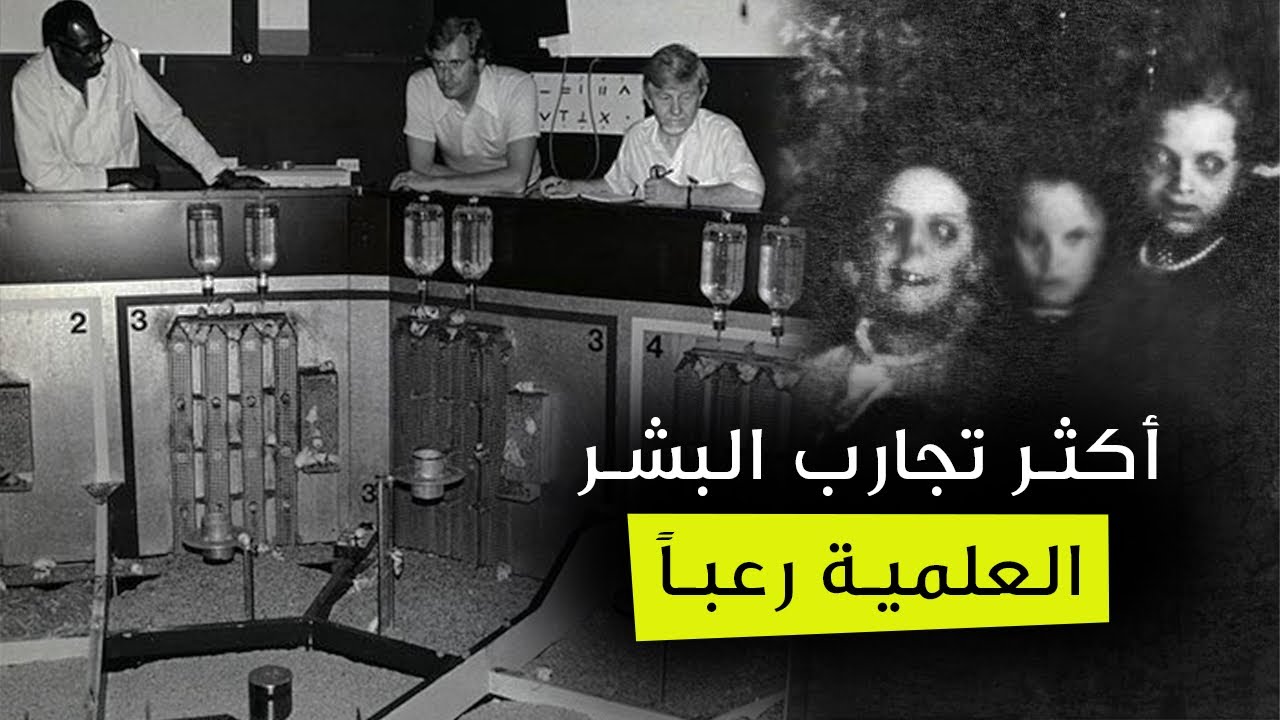 تجربة الكون 25