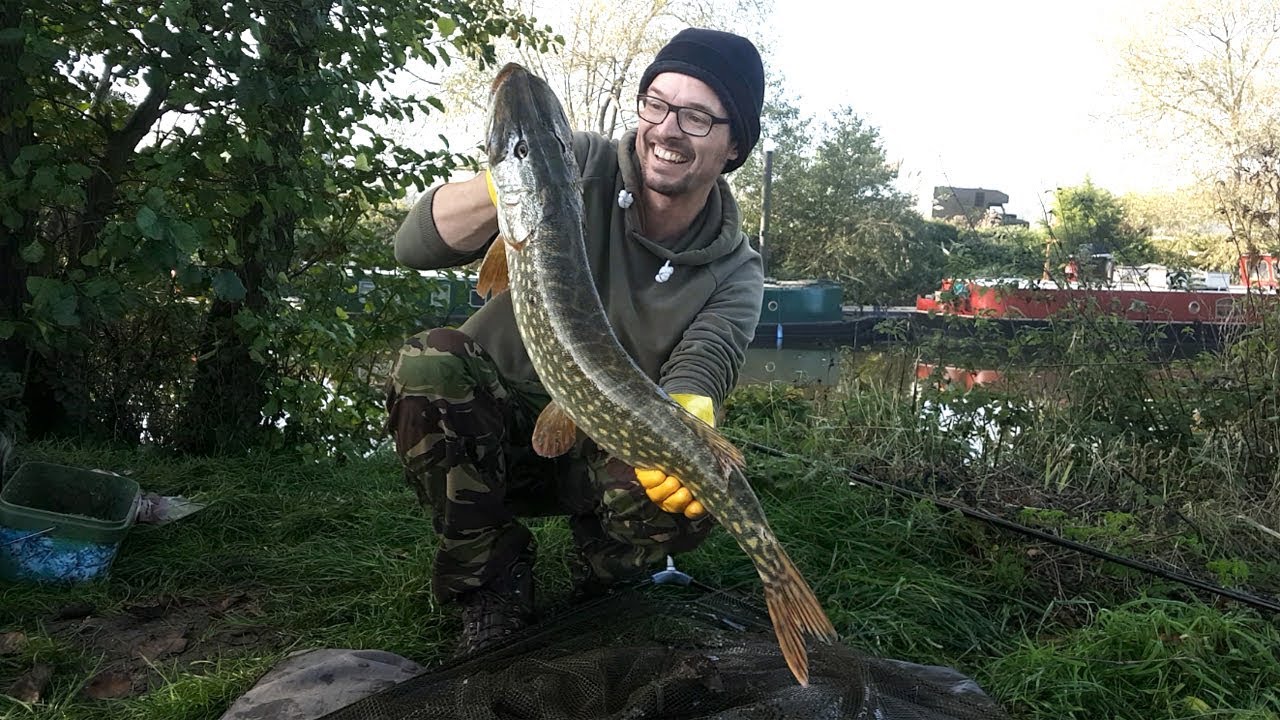 Pike Fishing - A 'Jacktastic' Session on the Bristol River Avon