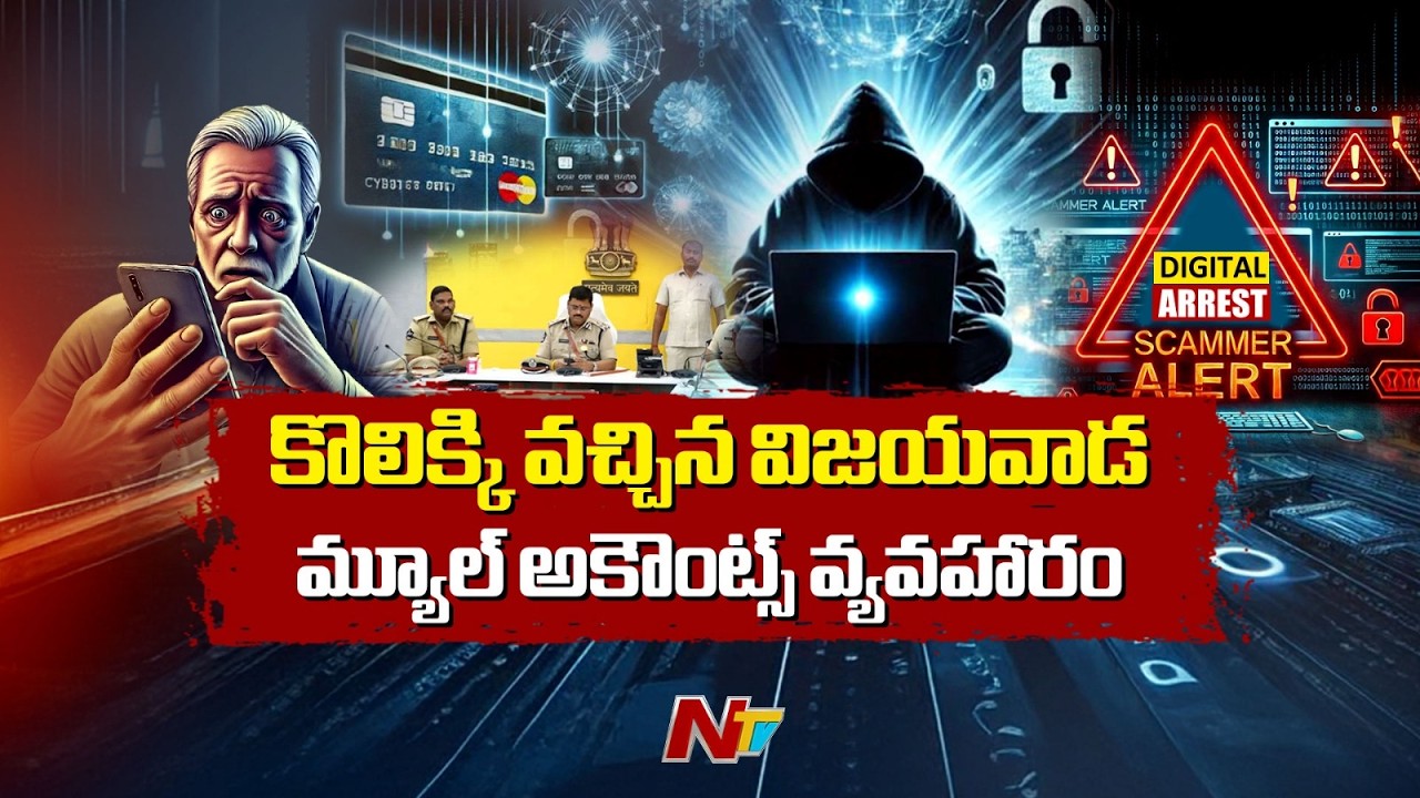 Vijayawada : కొలిక్కి వచ్చిన విజయవాడ మ్యూల్ అకౌంట్స్ వ్యవహారం | NTV Telugu