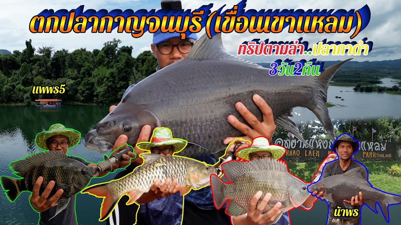 ตกปลากาญจนบุรี(เขื่อนเขาแหลม)..ทริปตามล่าปลากาดำ...3วัน2คืน