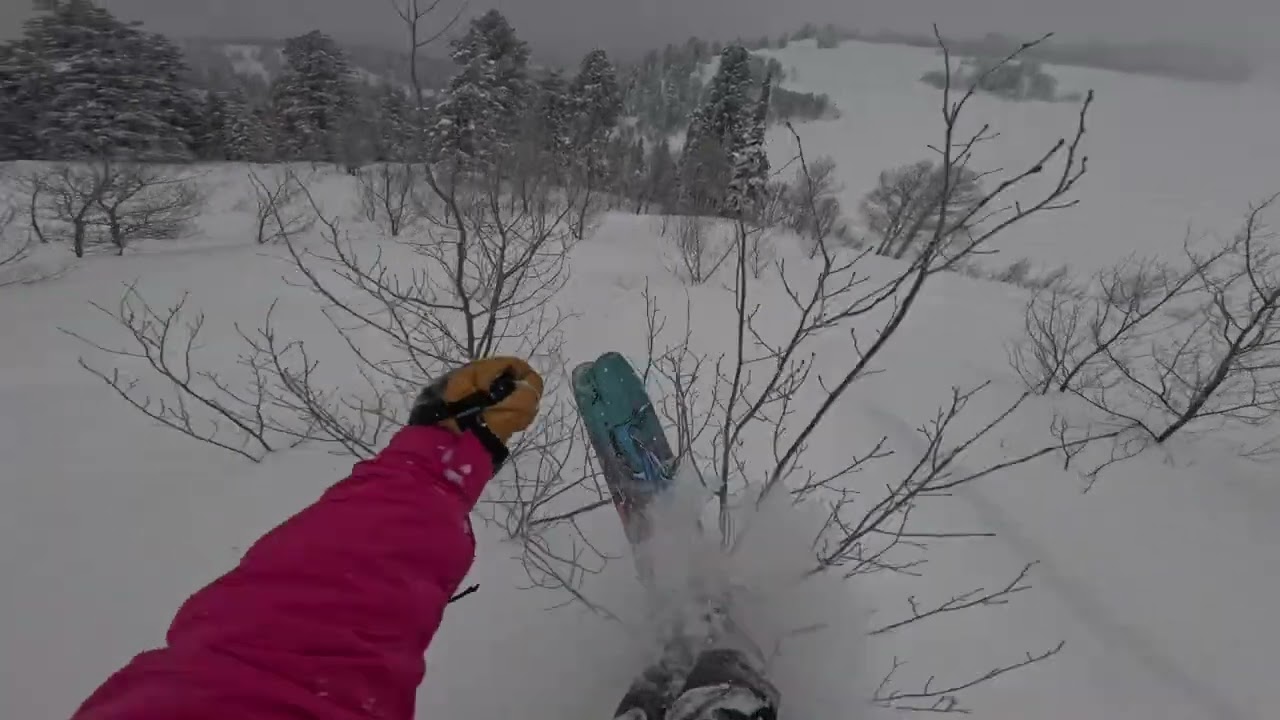 GRAND TARGHEE POWDER DAY | GOPRO POV | SKIING