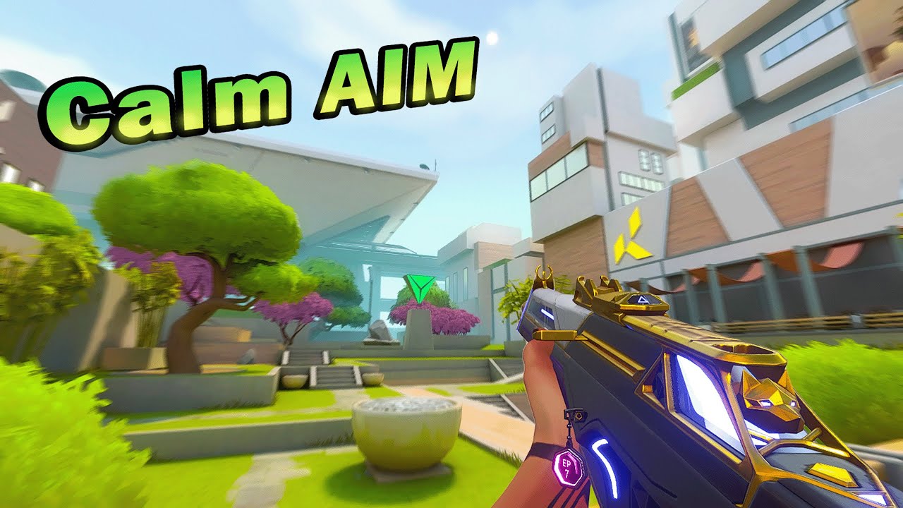 Valorant, But I've Mastered CALM AIM