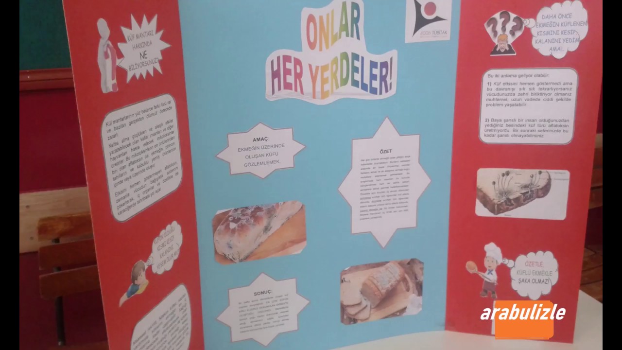 4006 TÜBİTAK Proje Örnekleri