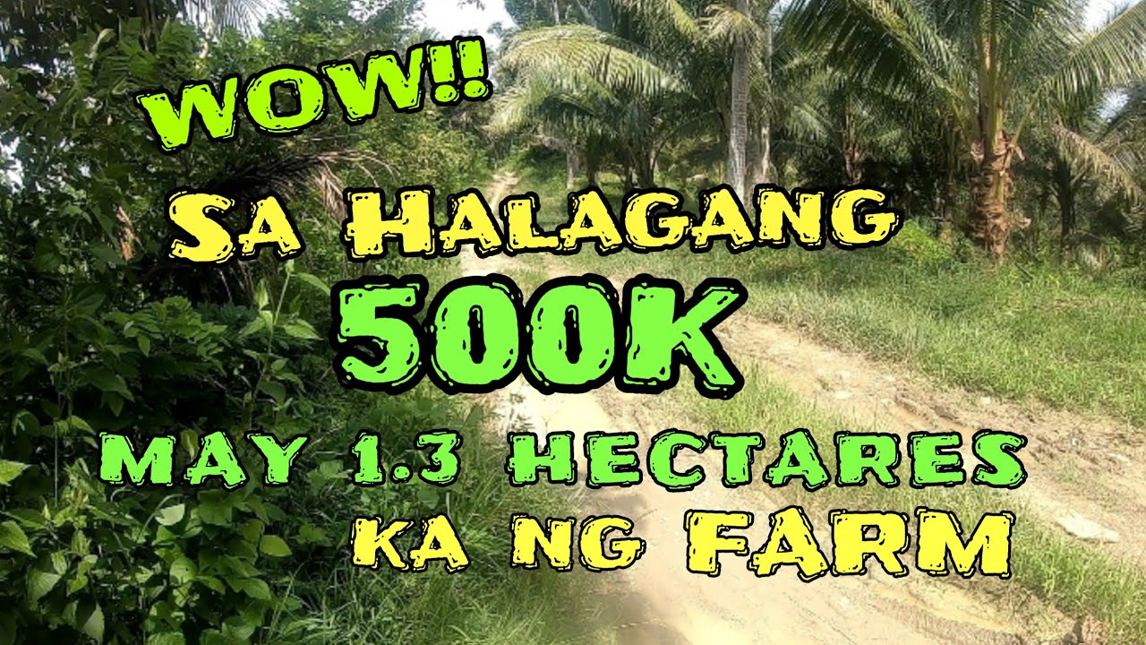 V#854 | Sa halagang 500K May 1.3 hectares ka ng Farm