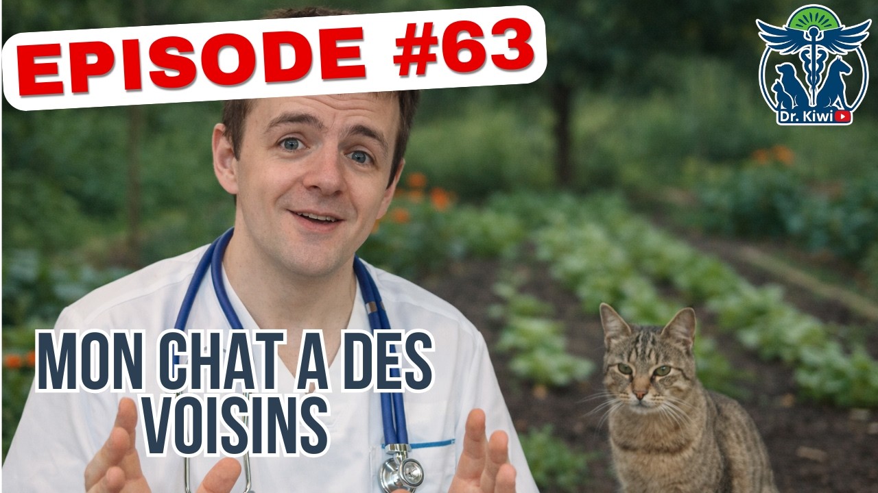 Des chats dans le potager : la méthode vétérinaire pour les éloigner sans les maltraiter 🐱🌿