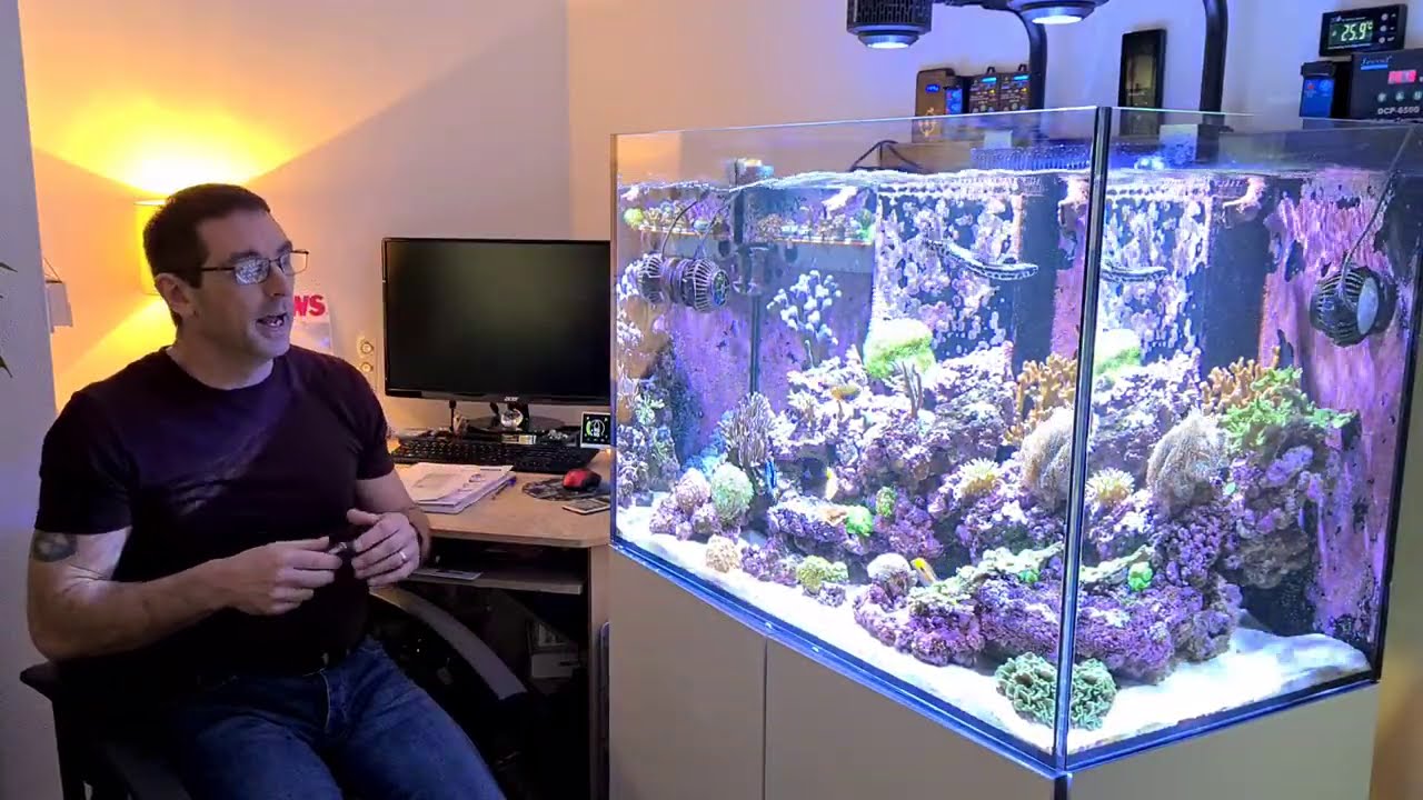 How to get the flow right in your Reef Tank !!!