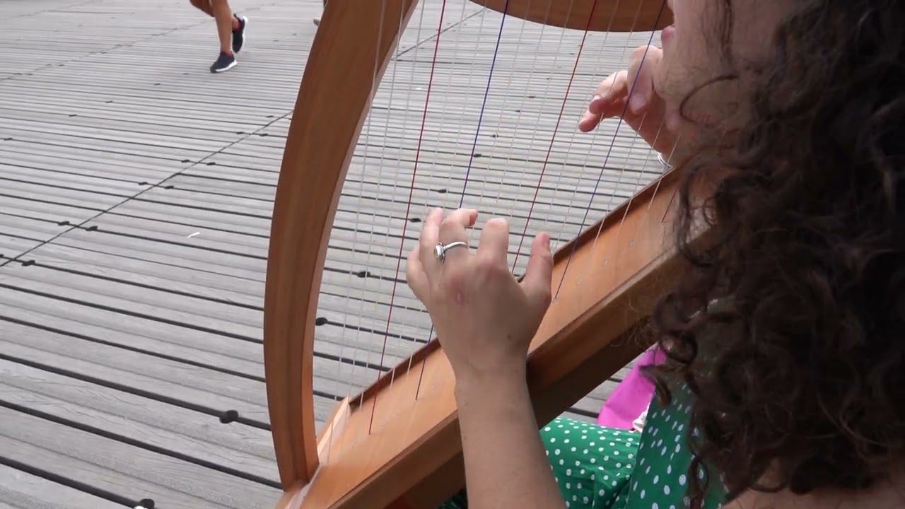Pont des Arts, la harpiste.