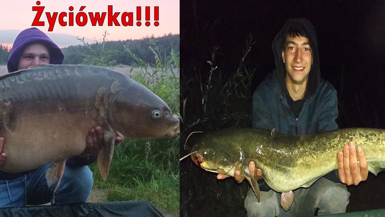 TO JEST TA NOC!  SUMY i KARPIE NA ŻWIROWNI : 